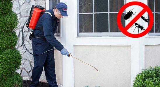 Kırşehir Kemirgen İlaçlama böcek ilaçlama ve haşere kontrolü — ilaclama-tr.com